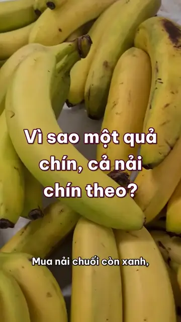 Vì sao chuối chín vàng, và một quả chín làm cả nải chín theo?