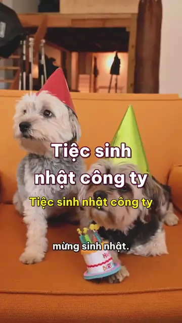 Boss nhà mình tập 17: Tiệc sinh nhật công ty, mũ giấy, bóng bay và những vị sếp không hề yêu cầu