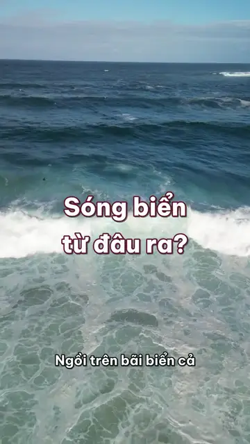 Sóng biển từ đâu ra, vì sao nước không trôi theo sóng, và gặp dòng rip thì thoát thế nào?