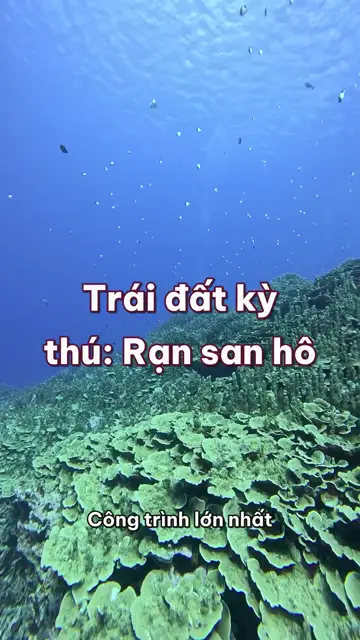 Rạn san hô: công trình lớn nhất do sinh vật xây, và đêm trăng san hô đồng loạt sinh sản