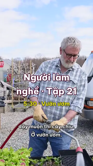 Người làm vườn ươm cây hoa: tưới xong trước khi nắng gắt, một chiếc lá sen đá thành một cây con