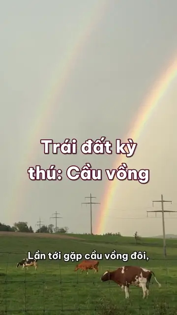 Cầu vồng: thật ra là một vòng tròn, không ai thấy chung một cái, và cầu vồng thứ hai bị đảo màu