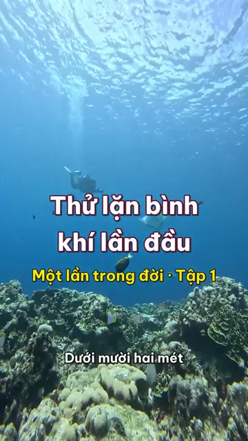 Một lần trong đời: thử lặn bình khí, mười hai mét dưới biển và tiếng thở của chính mình