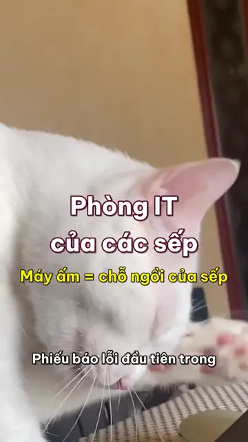 Boss nhà mình tập 23: Phòng IT, nơi máy tính ấm là phải có sếp ngồi lên kiểm tra