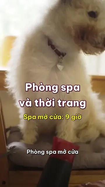 Boss nhà mình tập 24: Phòng spa và thời trang, sếp được sấy tóc, đắp mặt nạ, thử áo len