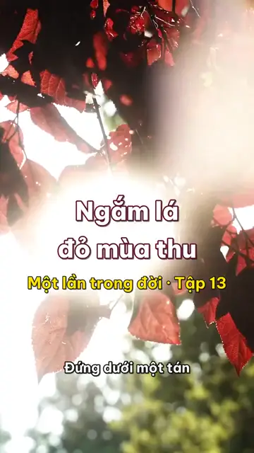 Một lần trong đời: ngắm lá đỏ mùa thu, chọn đúng hai tuần lá chín và đứng ngược nắng mà nhìn