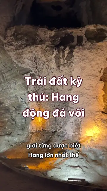 Hang động đá vôi: nước mưa khoét núi, nhũ đá lớn một phân mỗi trăm năm, và khu rừng mọc trong hang Sơn Đoòng