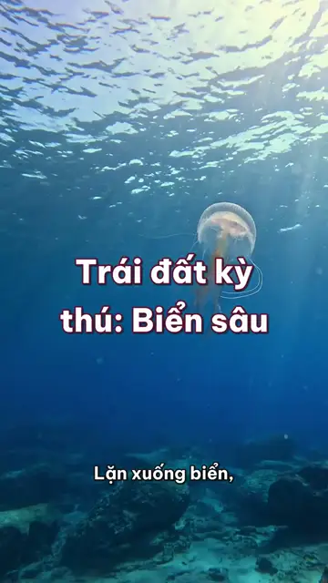 Biển sâu: cuộc di cư lớn nhất Trái Đất diễn ra mỗi đêm, và nơi ánh sáng do sinh vật tự thắp