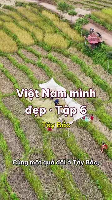 Ruộng bậc thang Tây Bắc: một năm bốn màu, lên vào tháng nào thì đẹp