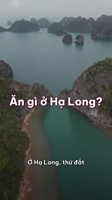 Ăn gì ở Hạ Long? Bún bề bề, sá sùng nướng than, ngán rừng ngập mặn và hàu Vân Đồn