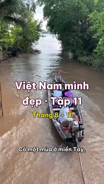 Mùa nước nổi miền Tây: tháng Chín nước về, cá linh và bông điên điển vàng