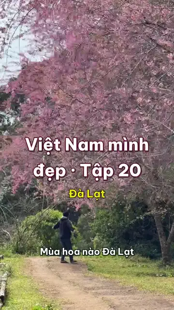 Đà Lạt: từ chuyến thám hiểm của bác sĩ Yersin năm 1893 tới hồ Xuân Hương và mùa mai anh đào