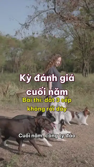 Boss nhà mình tập 40: Kỳ đánh giá cuối năm, lần này các sếp chấm điểm nhân viên