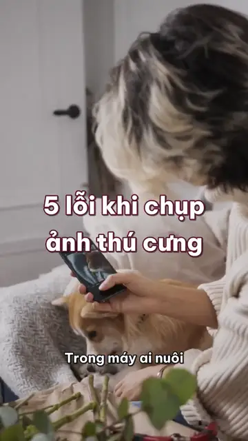 5 lỗi khi chụp ảnh thú cưng bằng điện thoại: đứng chụp từ trên xuống, bật đèn flash và bắt boss ngồi yên