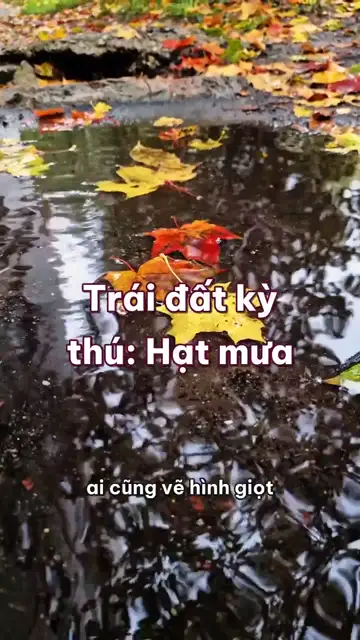 Hạt mưa: không hề có hình giọt lệ, một triệu giọt mây mới thành một hạt, và mưa không chạm đất