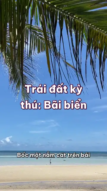 Bãi biển: cát là mảnh vụn của núi, cá vẹt thải ra cát trắng, và bãi biển tự dời chỗ theo mùa