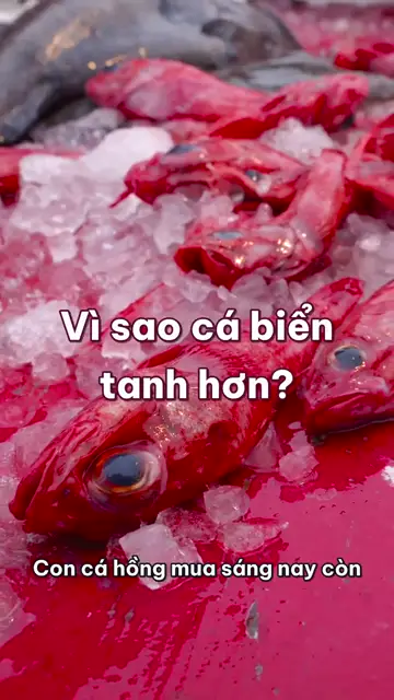 Vì sao cá biển để lâu tanh hơn cá sông, và vắt chanh vào là bớt mùi?