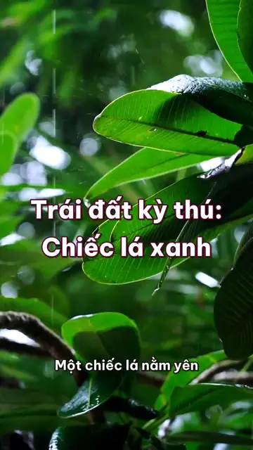Chiếc lá xanh: cây lớn nhờ không khí chứ không nhờ đất, và giọt nước buổi sớm chẳng phải sương