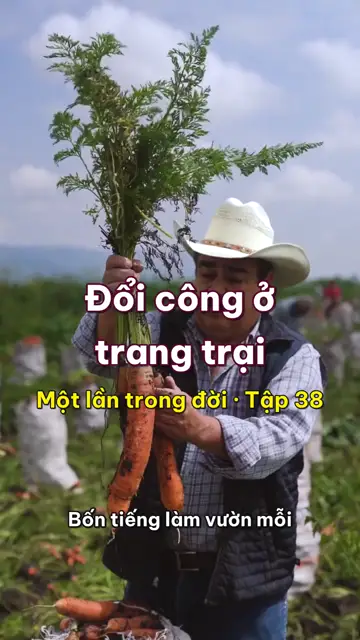 Một lần trong đời: đổi bốn tiếng làm vườn mỗi ngày lấy chỗ ngủ và ba bữa cơm ở một trang trại