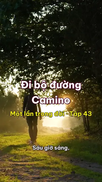 Một lần trong đời: đi bộ đường hành hương Camino de Santiago, tám trăm cây số theo mũi tên vàng