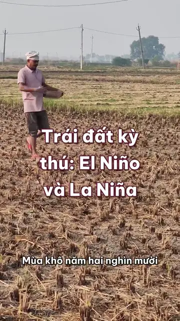 El Niño và La Niña: dòng nước ấm giữa Thái Bình Dương làm ruộng lúa miền Tây khát nước ngọt