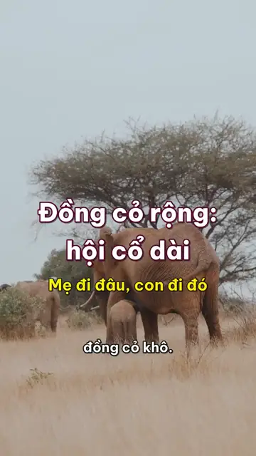 Động vật nghĩ thầm tập 7: Đồng cỏ rộng, hội cổ dài và những người bạn