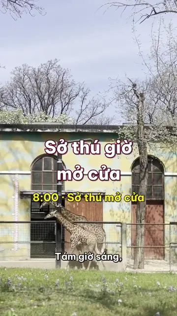 Động vật nghĩ thầm tập 2: Sở thú giờ mở cửa, ai đang ngắm ai