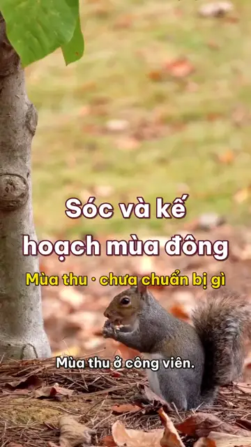 Động vật nghĩ thầm tập 6: Sóc và kế hoạch mùa đông, giấu thì giỏi mà nhớ thì không