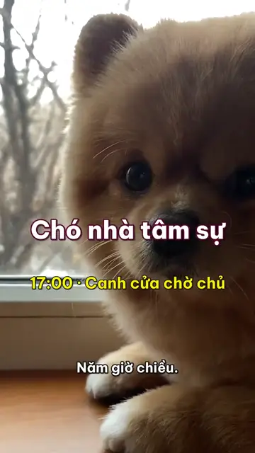 Động vật nghĩ thầm tập 11: Chó nhà tâm sự, mỗi ngày đều là ngày vui nhất