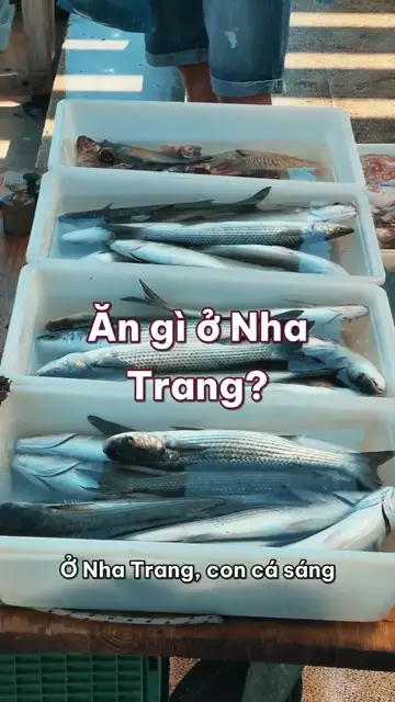 Ăn gì ở Nha Trang? Bún chả cá, nem nướng Ninh Hòa, bánh căn, hải sản