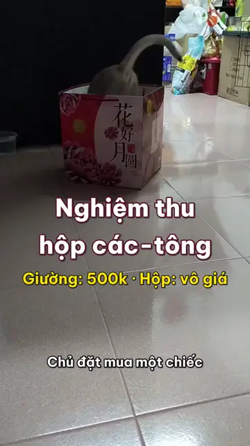Boss nhà mình tập 2: Nghiệm thu hộp các-tông, công trình trọng điểm của năm