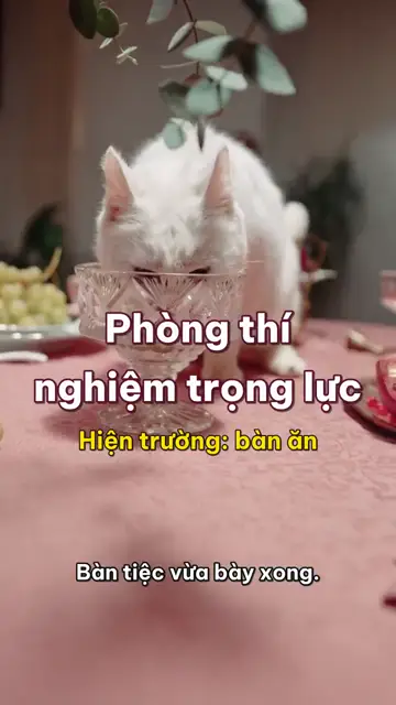 Boss nhà mình tập 3: Phòng thí nghiệm, nơi mọi đồ vật trên bàn đều phải rơi