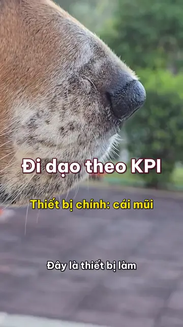 Boss nhà mình tập 4: Đi dạo theo KPI, mỗi cột điện là một bản báo cáo