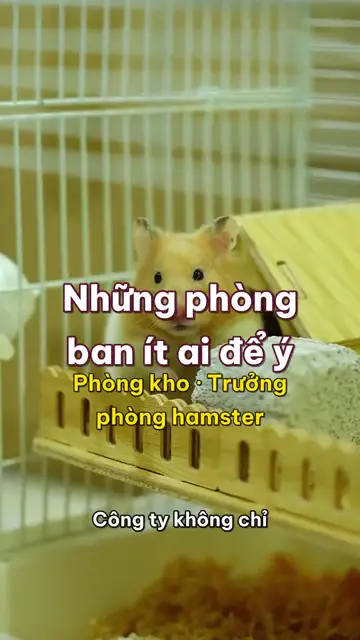 Boss nhà mình tập 6: Hamster, thỏ và vẹt, những phòng ban ít ai để ý