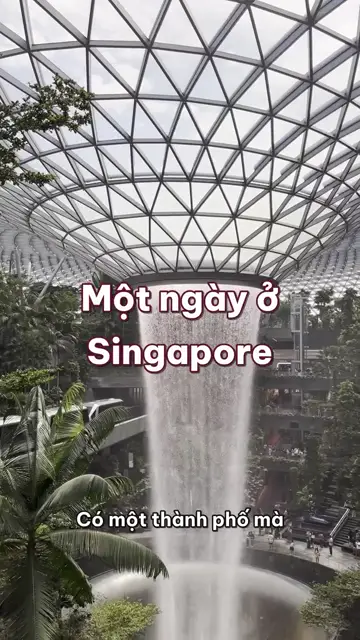 Một ngày ở Singapore: thác nước trong sân bay, cơm gà hawker, vườn cây phát sáng lúc tối