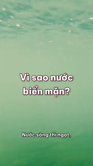 Vì sao nước biển mặn, và cá biển sống sao giữa nước mặn?